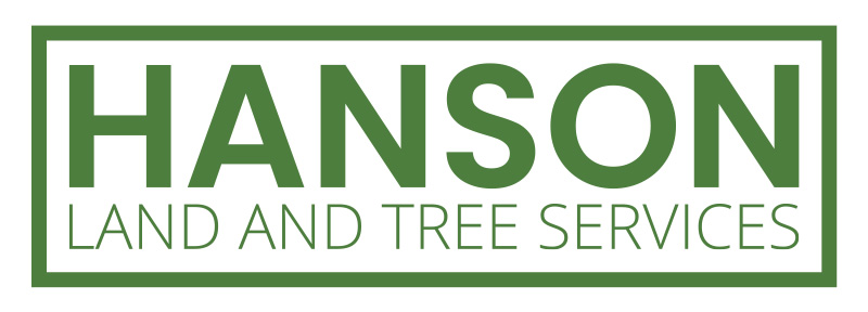 logo-hanson-large